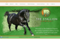 stallioncompany.com