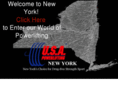 usaplny.com