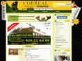 inmobiliariacorreal.com