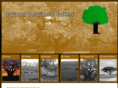savannazambia.com