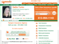 autoinsurance33543.com
