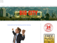 bigcityplumbing.net