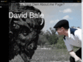 davidbale.net