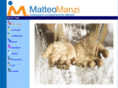 matteomanzi.com