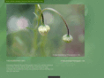 naturalabstract.com