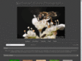sidersphoto.com