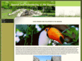 spanishamazonvolunteer.com