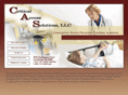 criticalaccesssolutions.com