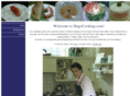 hugocooking.com
