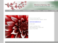 shannonsprungcounseling.com