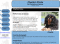 charliesprints.com