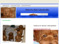 foxredlabradoodles.com