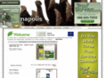 indianapolistreeservices.com