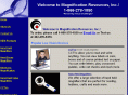 lowvisionmagnification.com