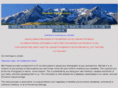mountainstateinv.com