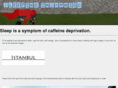 sleepinginsomniac.com