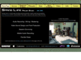 springlanestudio.com