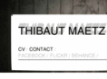 thibautmaetz.com