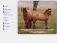 balancedhorsemanship.com