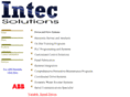 intecsolutions.com