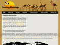 soaringflamingo.com