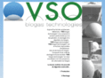 vso-biogastechnologies.com
