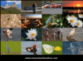 momentsofemotion.com