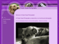 phpphotos.com