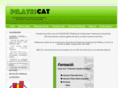 pilatescat.com