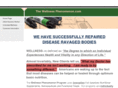 thewellnessphenomenon.com