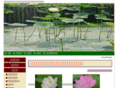 wakuwaku-lotus.com