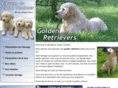 eleveur-golden-retriever.fr