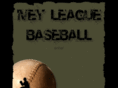 iveyleaguebaseball.com