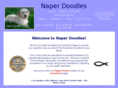 naperdoodles.com