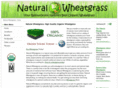 naturalwheatgrass.com