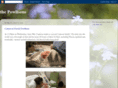 powlison.com