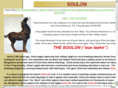 soulontigerhorse.com