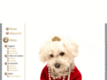 hollywoofpaws.com