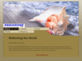 rnew.com