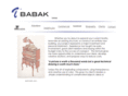 vincentbabak.com