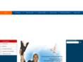 volviendoalpentecostes.com