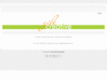 zilecreative.com