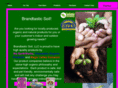 brandtasticsoil.com