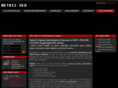 netbizseo.com