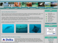 ronalddowlath.com