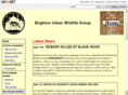 brightonuwg.org