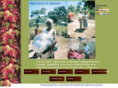 haitirescuemission.com