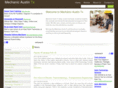 mechanicaustintx.com