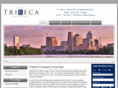 thetribecacompany.com