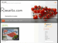 riesaito.com